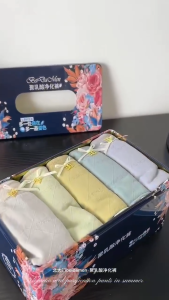 Women Panties 10 Panties inside a single Box Muti-Colors