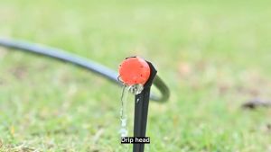 Bộ tưới nhỏ giọt tự động bằng đồng hồ pin - dành cho ban công sân thượng chậu cây rau hoa