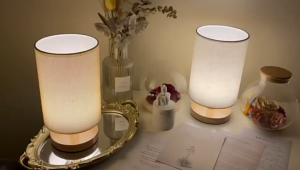 Solid wood fabric USB table lamp decoration bedroom bedside lamp study dormitory LED night light creative