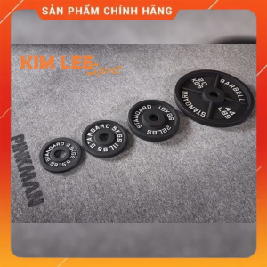Tạ gang Standard Barbell - Giá 1 set đầy đủ từ 125kg đến 25kg