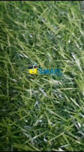 (1BIJI)M&G RULLER COLORFUL ARLN0484/PENGGARIS BESI 30CM