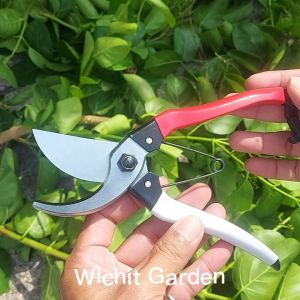 คีมตัดกิ่งไม้แต่งกิ่งต้นไม้ ความยาว 8 นิ้ว ใช้ในงานสวน ทั่วไปคุณภาพดี ราคาถูกครับ