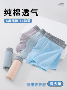 Older Childrens Underwear Male Junior High School Student 12-Year-Old Teenager Development Period Pure Cotton 13-Year-Old Kids Boxer Boy Underpants