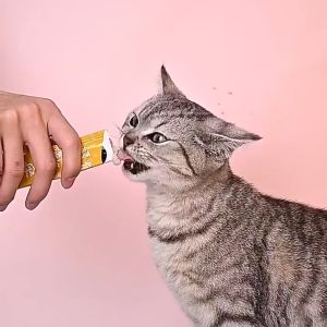 Cat Treats: A Guide to Buying, Shipping & Feeding