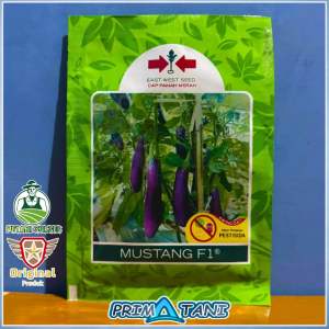 Benih Terong Ungu MUSTANG F1 isi 1.100biji - Cap Panah Merah