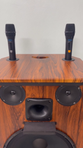 : Loa kéo di động Bluetooth chính hãng AZPROAZ-D2506 Bass 40 thùng gỗ cao cấploa 4 đường tiếngtặng 2 mic không dây UHF hát Karaoke
