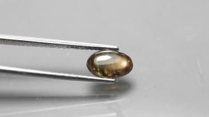 0.80 ct พลอยดิบ พลอยสตาร์ ( 6 Star Sapphire) ไข่หลังเบี้ย บางกะจะ