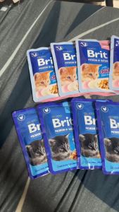 BRIT Wet Food Pouch in GRAVY CHUNK for Cats 100g Pet Essentials
