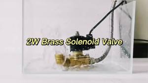 220V/ 24V /12V/ 2W Electric Solenoid ValveOne Way Brass Normally Closed Solenoid-Valve For Air Fuels Gas Oil Water