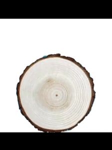 Tree Care Organic Facial Tissue & Toilet Paper: 10/20/30/40 Packs & 480 Sheets