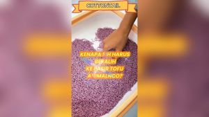 Animal & Co Pasir Kucing Gumpal Soya Tofu Clumping Cat Litter 7 Litter / Pasir Tofu / Pasir Kucing Wangi Gumpal