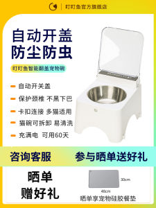 Smart Induction Ceramic Stainless Steel Cat Bowl with Lid Neck Protection High Legs Slanted Mouth Anti Flip Splash Proof