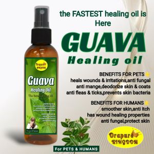 Guava Healing Oil Refined/Unscented for pets and humans Orapure kingdom
