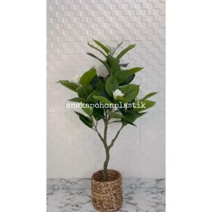 Pohon Imitasi Tanaman Hias Daun Magnolia Latex Artificial Cover Eceng Gondok Hiasan Studio Hiasan Ruang Tamu