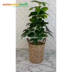 Pohon Artificial Tanaman Hias Daun Walisongo X12 Semi Latex Pot Dasar Cover Eceng Gondok Handle Hiasan Rumah Pajangan Ruang Tamu