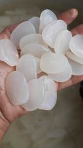 kolang Kaling 1 kg kolang Kaling super fresh bahan manisan buah aren kolang Kaling 1kg