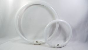 Bóng đèn vòng T5 huỳnh quang 22W-32W ánh sáng Trắng