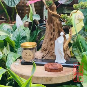 Hộp Gỗ Xông Nhang Vòng Trầm Hương Nhang Khoanh 2 Giờ 4 Giờ