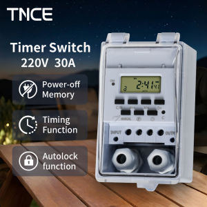 TNCE 30A Timer Switch Waterproof 220V time controller set to seconds 32 groups of timer on and off for light water pump