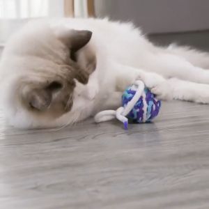 Đồ chơi bóng sợi len cho Mèo vui nhộn (mẫu mới) - Love Pets Shop
