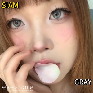(COD) 2 buah/1 pas EyeShare softlens SIAM Seri soflen GRAY/BROWN softlens mata diameter 14.2 MM Tersedia selama 12 months/1 Yearly Used