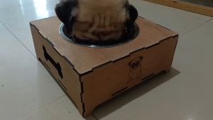 ชามอาหารสัตว์เลี้ยงยกสูง ชามอาหารสุนัข ชามอาหารแมว ชามอาหารหมาแมวยกสูง เพิ่มชื่อและรูปภาพฟรี เพื่อสุขภาพหลอดลม กันสำลัก ชามหมายกสูง