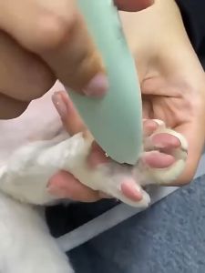 yoyopet :  ปัตตาเลี่ยนตัดขนเท้า ซอกเท้า สำหรับสัตว์เลี้ยง แมว/สุนัข หัวตัดขนาดเล็ก ตัดขน เครื่องโกนขน