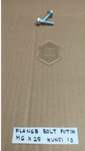 10 BIJI BAUT TOPI KUNCI PAS 10 PANJANG 25CM M6X25 25 CM PUTIH 25MM 25 MM BAUD FLANGE BOLT M6 X 25 BAUT 6X25 6 X 25 PITCH DRAT 1.0