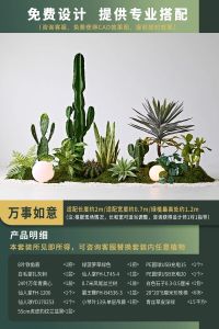 Large Indoor Entryway Bonsai Cactus Artificial Plant Landscape Valley Spirit Easy Growth Boreal Forest Style Decorative Piece