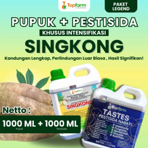 Pupuk & Obat Hama Singkong Terbaik