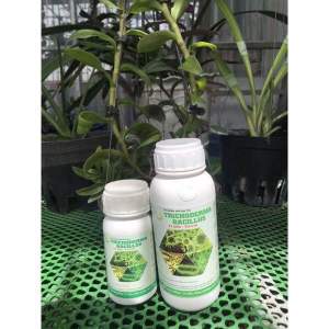 NẤM ĐỐI KHÁNG TRICHODERMA BACILLUS ( DẠNG NƯỚC)  - 500ML - Ủ PHÂN CHUỒNG TƯỚI CÂY ĐỐI KHÁNG NẤM BỆNH CẢI TẠO ĐẤT