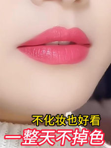 Long-Lasting Waterproof Matte Lipstick Womens Raincoat Lipstick Moisturizing Non-Stick Cup Colorful Beauty Tools Makeup