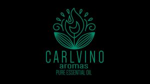 CARLVINO Aromas Premium Pure Essential Oil Set for Nebulizer Diffusers - 2 x 10ML High-Concentration Refills