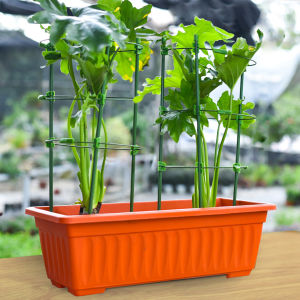 AmoKi Climbing Vine Flower Stand Flower Plant Support Rod Frame Dill 45cm 60cm Gardening Supplies