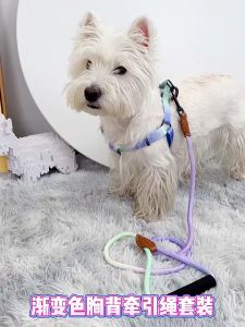 dây dắt yếm pastel dành cho chó mèo từ 5kg - 20kg - T3 PETS SHOP