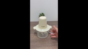 【New Arrival】Gaabor 2 ลิตร เครื่องบดอาหาร สับเนื้อ ปั่นพริกกระเทียม 300W Meat grinder MG-15M01A