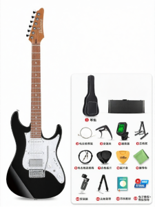 Ibanez | Đàn Guitar Điện Chuẩn Từ Sơ Cấp Đến Trung Cấp