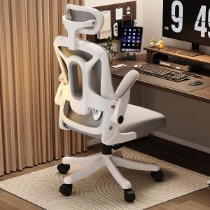 Ergonomic Computer Chair Home Office Chair Study Chair Back Support Chair Modern Style Non-Adjustable Back Height Computer Chair