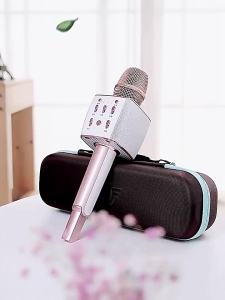soaiy | Home KTV Karaoke Microphone and Speaker