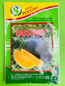 benih semangka kuning hibrida F1 pertiwi PASPORT isi 20gram mantap!!!
