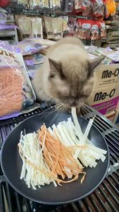 ปลาเส้นทาโร่ เกรดพรีเมี่ยมสำหรับสุนัข เเมวเเละสัตว์เลี้ยง ไม่เค็มปราศจากเกลือ บรรจุถุงชิปล็อค(ขนาด100g300g1kg)