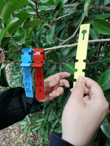 1 Pack (50 Pcs) - Plant Label Name Tag - Label Penanda Tanaman Model Collar Slip On - Kalung 2x20 cm