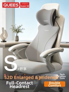 QUEES | Ergonomic Back Support Pillow