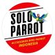 Solo Parrot