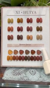 Sét sơn gel XI-HUIYA cao cấp 18 màu (tặng kèm bảng mầu)