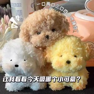 Twisted Stick Puppy Handmade DIY Material Package Gift Bold Hair Root Wool Tops Material Puppy Teddy Bichon Doll