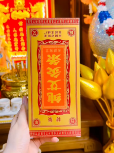 Nhang Cây Xông Nhà Xả Xui Phong Long Hộp 10 Cây Hương Dịu Nhẹ Dạng Cây Lớn Cháy Lâu Tiện Dụng #nhangxongnhagiaiviatot