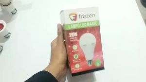 Lampu LED Frozen Emergency Darurat Cas Charge Otomatis 20W