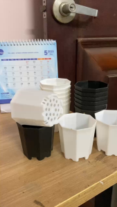 Chậu bát giác 8 cạnh nhựa PP chuyên trồng bonsai mini sen đá xương rồng để bàn size 6.7cmx6.8cm