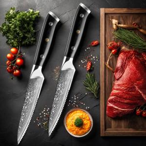 Damascus Steel Steak Knife Set Home Dinner Knife Professional VG10 Handle 67 Layer Razor Sharp Cutting Fruit Carving Bread Knife